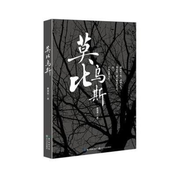 《莫比乌斯》瞿博雯著【摘要 书评 在线阅读】