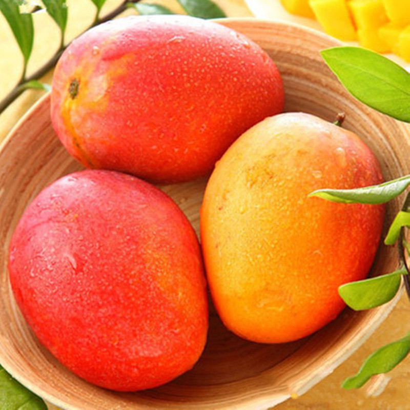 【中华特色馆】屯昌馆 海南三亚澳芒 新鲜水果