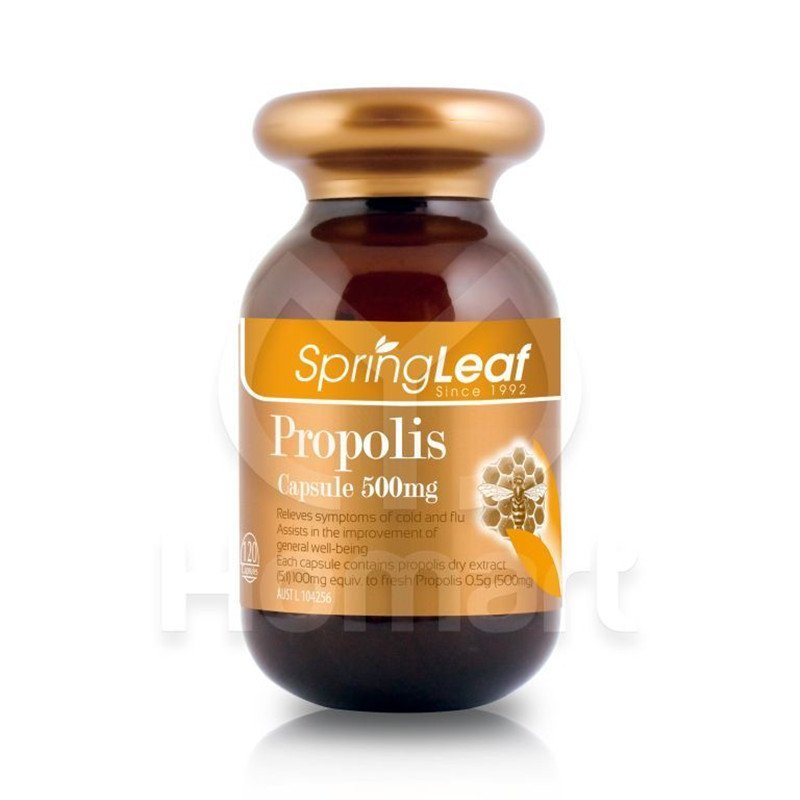 Spring Leaf蜂胶胶囊 500毫克120粒(金瓶) 绿芙