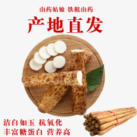 海南金香玉蜜瓜1个约1.2kg\/个 蜜瓜 新鲜水果与