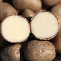 兰考馆兰考特产沙土地铁棍山药豆山药蛋零余子