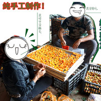 山西大同阳高杏脯古老工艺酸甜爽口【大同馆】