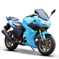 感觉 机车地平线s款摩托车跑车整车150-250cc