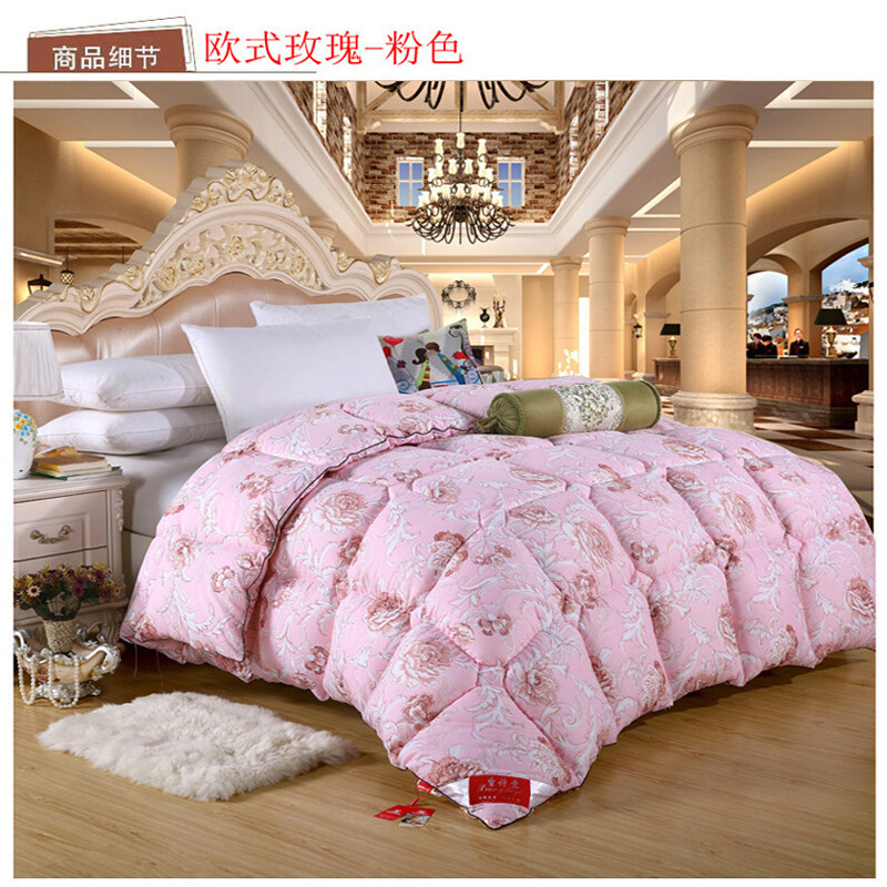 C加厚保暖被子冬被丝绵被芯春秋被厚棉被单双