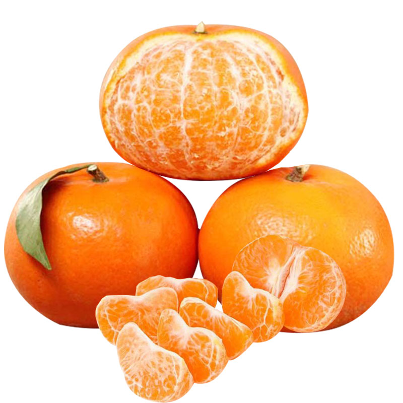 正宗广西沃柑 10 斤 新鲜水果皇帝柑贡柑橘子桔子现摘