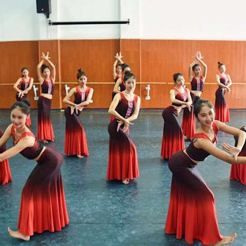 成人傣族舞蹈服艺考舞蹈练功鱼尾裙孔雀舞演出服装儿童民族表演服