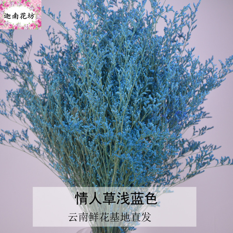 云南真花鲜花勿忘我天然干花永生花束情人草水晶草满天星大束