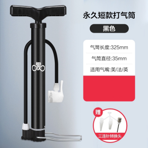 永久牌自行车家用便携式小电动电瓶通用充气管子泵篮球单车桶汽简