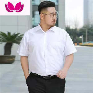 七斓商务正装特大码短袖衬衫男士薄款修身工作装纯色加肥宽松胖子衬衣