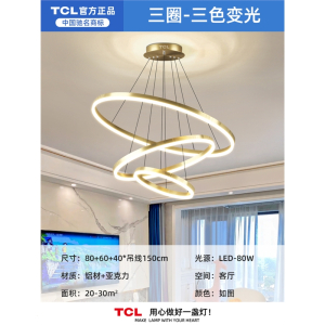 TCL灯具客厅吊灯北欧现代简约家用大气主灯圆环灯具