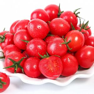 赛卡伊 圣女果小番茄2-5斤新鲜水果当季番茄整箱蔬菜西红柿