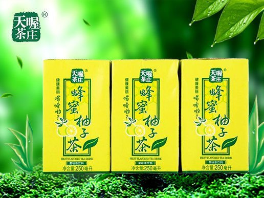 天喔茶庄 蜂蜜柚子茶 250ml*6