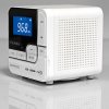 熊猫(PANDA) DS-150 双解码数码音箱