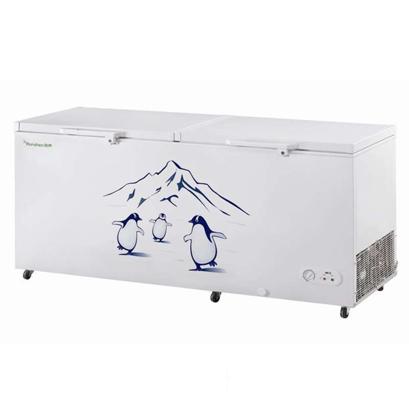 容声(Ronshen) BD/BC-310B/J 310升 卧式冷柜