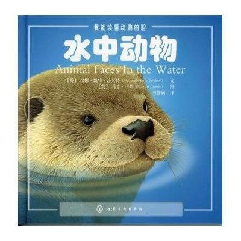 水中动物