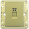 远景一位电话插座（金棕）5TG01201CC133