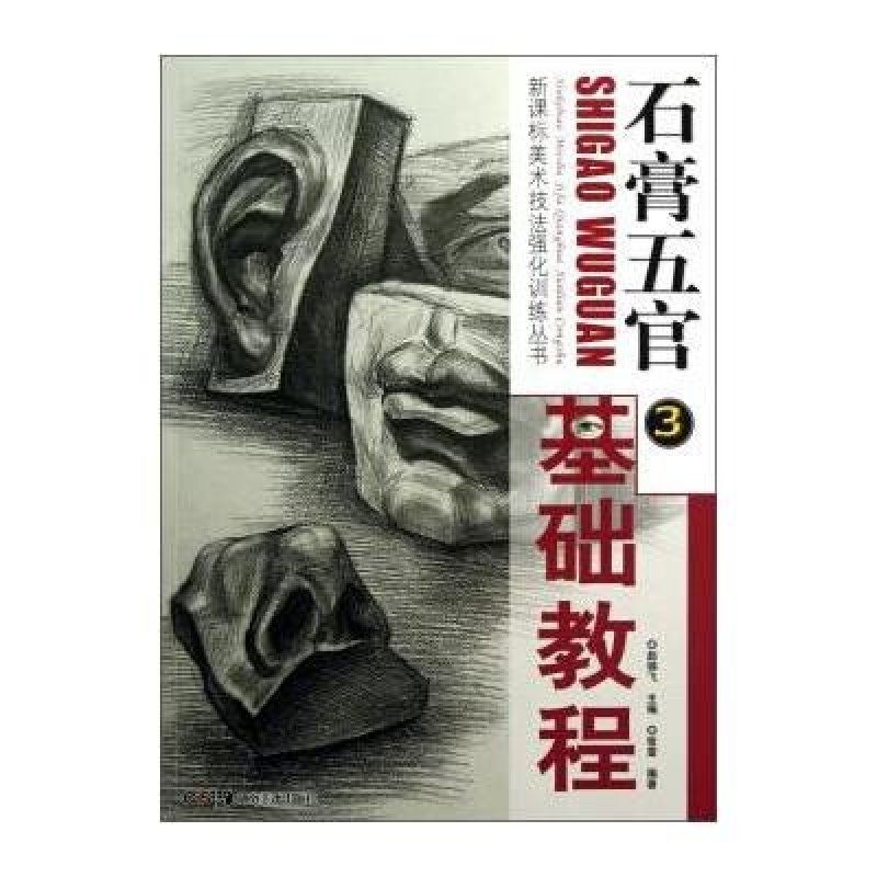 新课标美术技法强化训练丛书:石膏五官基础教程