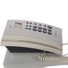TCL HCD868(79)TSD来电显示电话机 (灰白)