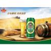 青岛啤酒经典10度罐啤500mL