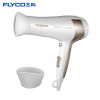 飞科(FLYCO)FH6232大功率电吹风机 2000W