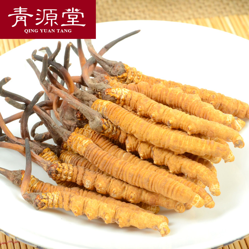 青源堂 冬虫夏草 精选4条/g 250克礼盒