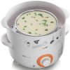 小熊（Bear）DZG-240PA 电蒸锅 双层多功能定时 4L