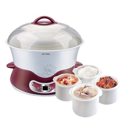 天际(tonze) dgd40-40dwg 4.0l 1锅5胆微电脑白瓷隔水电炖盅