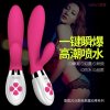 香港雷霆四叶草经典款女性双点刺激震动棒双震棒女用自慰器G点阴蒂双震刺激挑逗高潮棒按摩振动女用自慰助情成人用品情趣用品性用