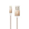 品胜iphone双面USB数据线 苹果手机充电线 1米 适用于苹果5/6/7/8等系列 香槟金