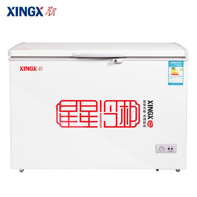 星星(XINGX) BD/BC-305E 305升 直冷卧式冷柜(白色)