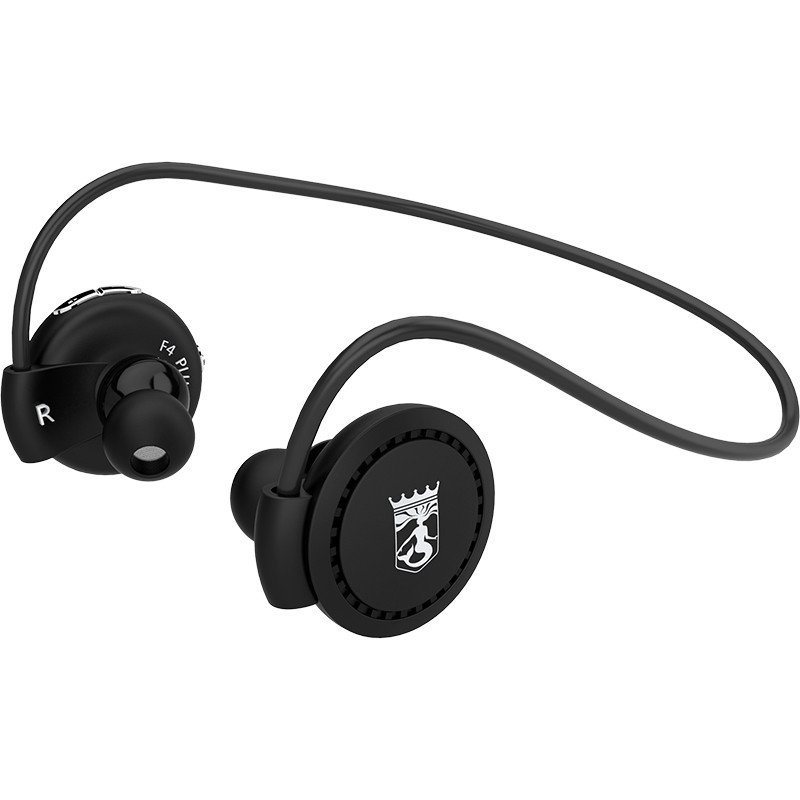 宾果（Bingle）F4 plus 立体声运动音乐蓝牙耳机 (动感黑)