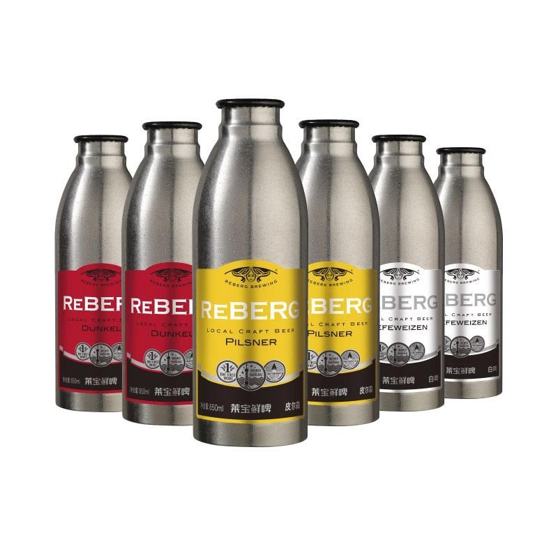 REBERG莱宝精酿啤酒混合装650mlx6瓶
