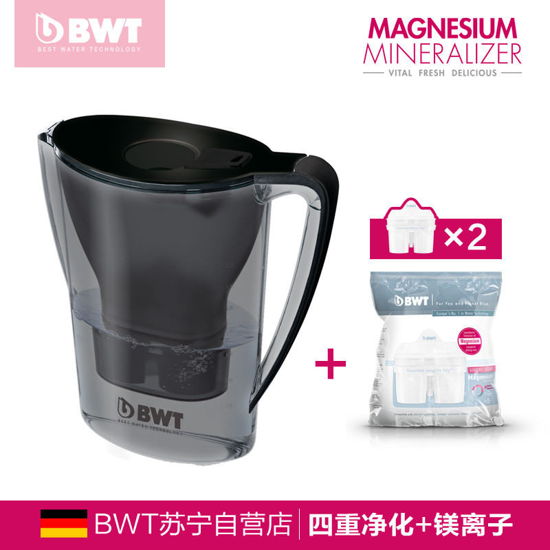 德国BWT净水壶滤水壶净水器饮水机家用直饮2.7升一壶两芯 黑色