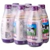 国农 布丁味牛乳饮品 240ml*6 中国台湾地区进口上等配料取才考究，严选牛乳，香醇的牛奶与布丁绝妙的搭配