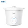 海尔（Haier）婴儿营养辅食煲 HBP-R10