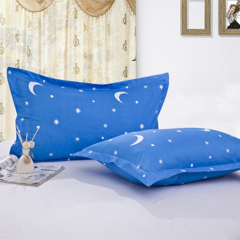 南极人(NanJiren)家纺 简约印花枕套 枕头套枕芯套48*74cm单人枕套一对两只其他 爱花紫 48cmx74cm
