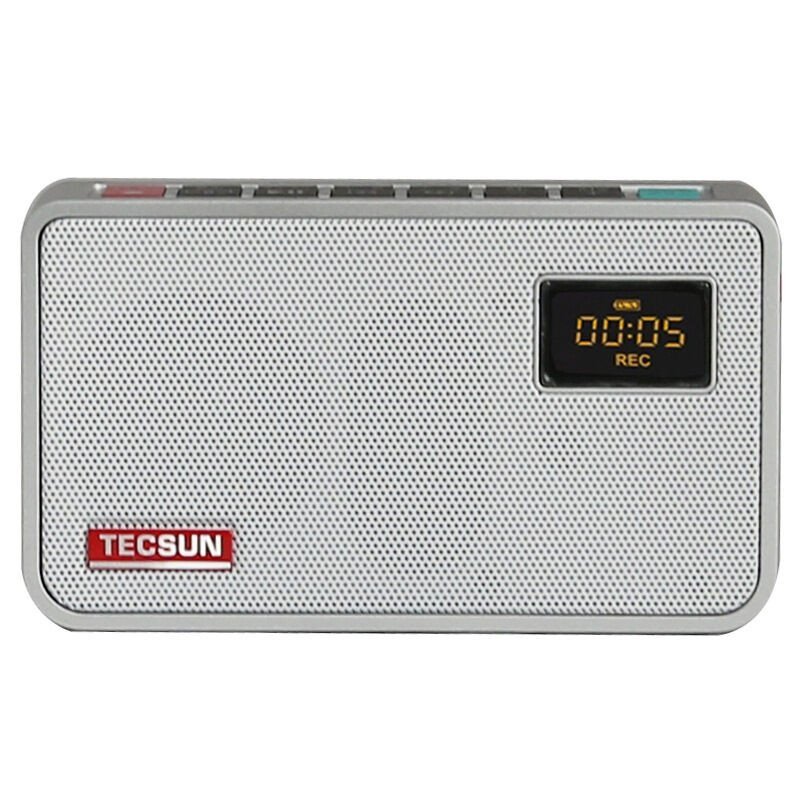 德生（Tecsun） ICR-100（银色）广播录音机 数码音频播放器 插卡收音机 小音箱 收音机 插卡音箱