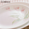 康宁(CORELLE)餐具套装美国原装进口玻璃餐具36件套都市百合 36-LV-CS
