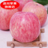陕西洛川红富士苹果40枚75#礼盒苹果水果非烟台阿克苏冰糖心苹果