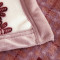 龙之吻毛毯加厚法兰绒冬季空调毯1.8米/1.5m珊瑚绒毯子被盖毯双人床单午睡毯 1.5*2.0m 发财树粉