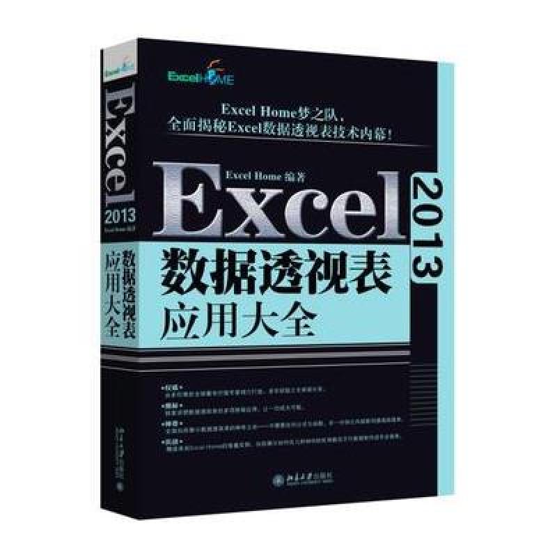 Excel 2013数据透视表应用大全