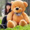 公仔大号泰迪熊猫女孩毛绒玩具布娃娃抱抱熊玩偶情人节生日礼物 180cm 深棕色