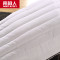 南极人(NanJiren)家纺 枕头荞麦两用枕头护颈枕单人学生儿童枕芯 荞麦枕 单只装46*70cm