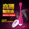 谜姬胸部震动器女用自慰器乳夹电动乳房按摩器成人情趣性用品女性系列波波妹乳罩有线遥控阴罩跳蛋成人性用品