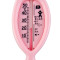 美德时（Anymetre）TH550 婴儿沐浴水温计 粉红色