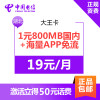 湖北电信大王卡 1元800MB国内流量+海量APP免流+100分钟通话 4G电话