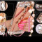 JSB 镜面水钻支架金属边框PC后盖珍珠链手机壳保护套 适用于小米红米note3/5.5屏 玫瑰金-香水瓶-皇冠+珍珠挂链