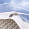 南极人(NanJiren)家纺 ins简约四件套单双人床单臻丝棉缎轻奢风被套1.8米网红款2.0m床上用品 菠萝-绿 适用2.0m床-被套220×240cm