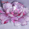 绣娘丝绸高端刺绣系列雅姿牡丹手绘苏绣工艺披肩苏州名品真丝围巾 灰色