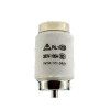 人民 低压熔断器 20A 瓷插 RL1-20A